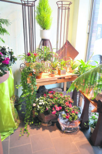 Bei Heike‘s „Blumen und Mehr“ gibt es neben Schnittblumen auch viele Topfpflanzen und Gestecke