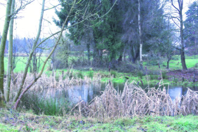 So sieht der ehemals 800 Quadratmeter große Teich heute aus