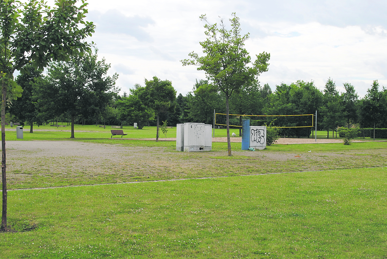 Der Eckermannpark ist zwar riesig, wird jedoch viel zu wenig von der Winsener Bevölkerung genutzt. Trotzdem lässt sich die Stadt den Erhalt jedes Jahr viel Geld kosten. Noch!