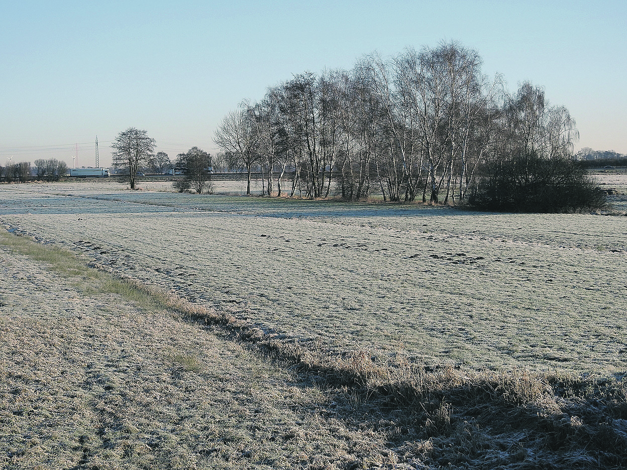 Zwischen Meckelfeld und A1: Wo es jetzt noch Natur gibt, soll nach dem Willen der Niedersächsischen Landesbehörde für Straßenbau die Rastanlage gebaut werden
