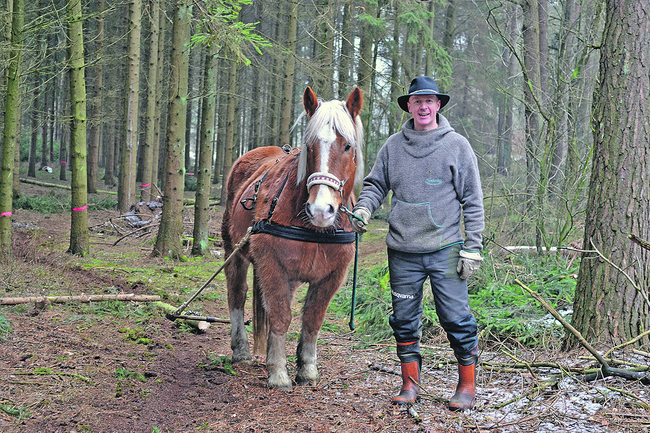 "Vigo" zieht Holzstämme verschiedener Stärken und Längen aus dem Wald