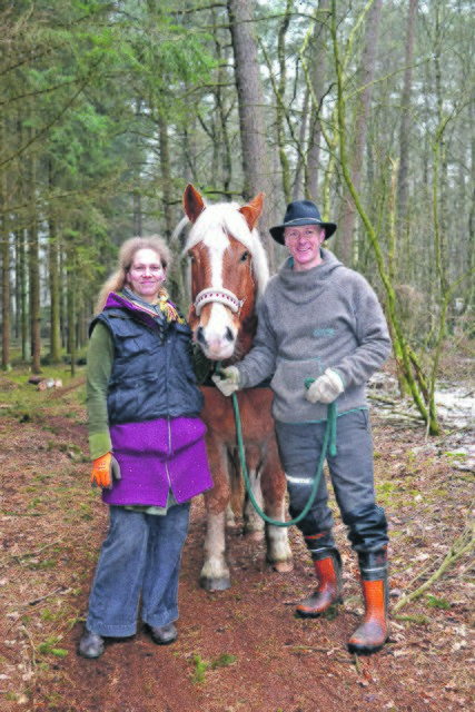 Christiane und Thomas Meyer mit ihrem Rückepferd "Vigo"