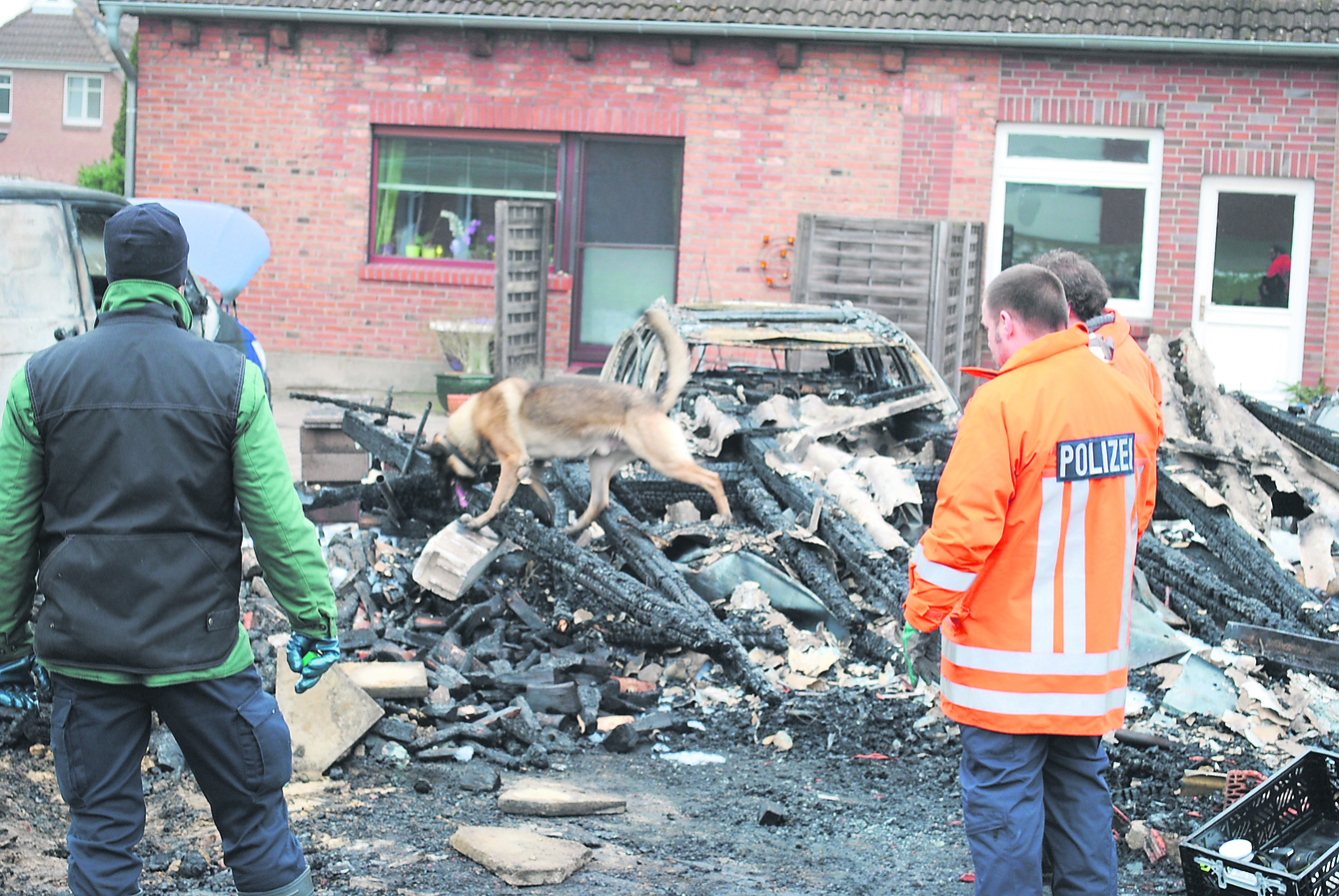 Mit einem Spürhund suchte die Polizei die Scheune nach Brandbeschleunigern ab. Das Gebäude war in der Nacht zu Dienstag komplett abgebrannt (kl. Foto)