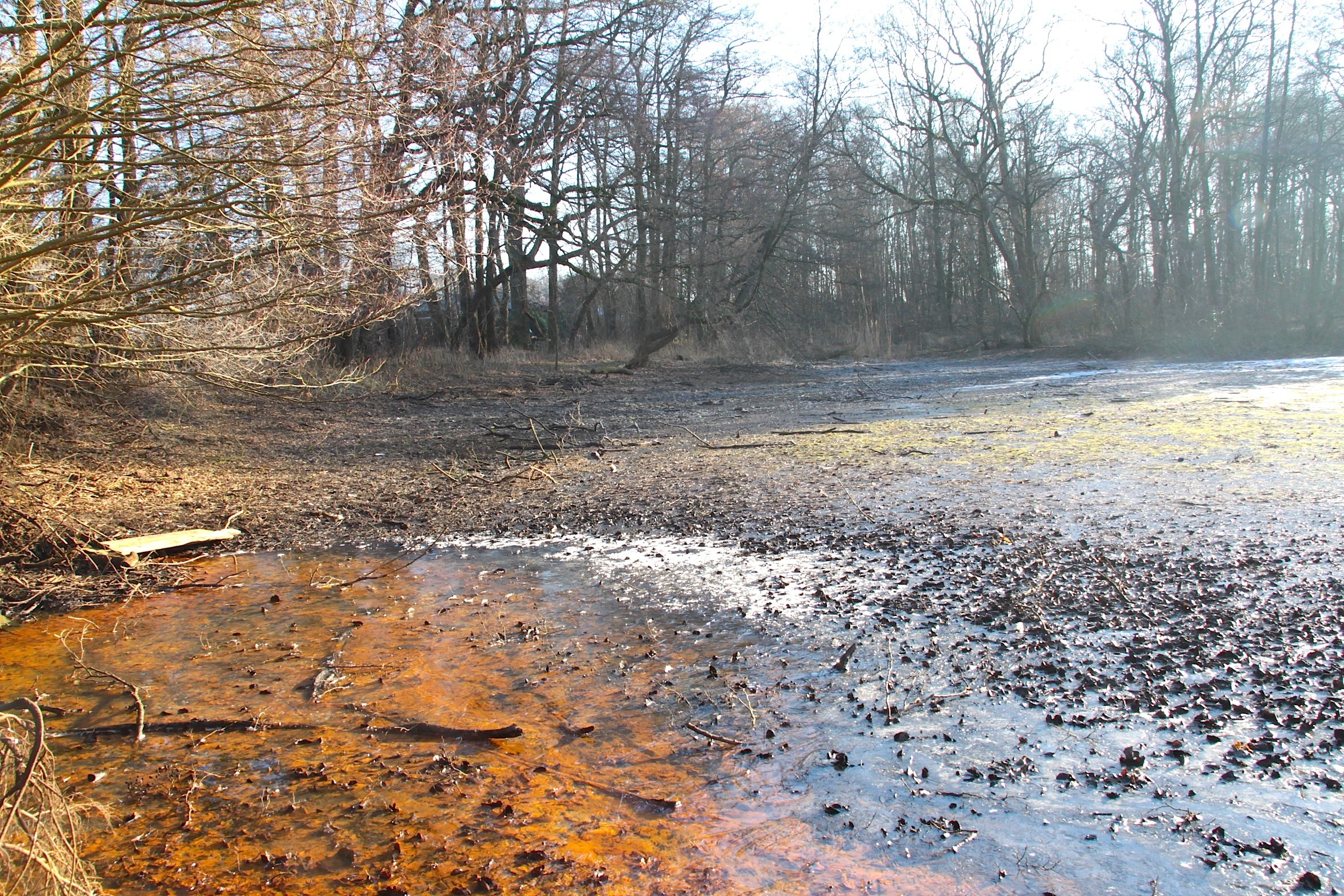 Der trockengelgte Mühlenteich