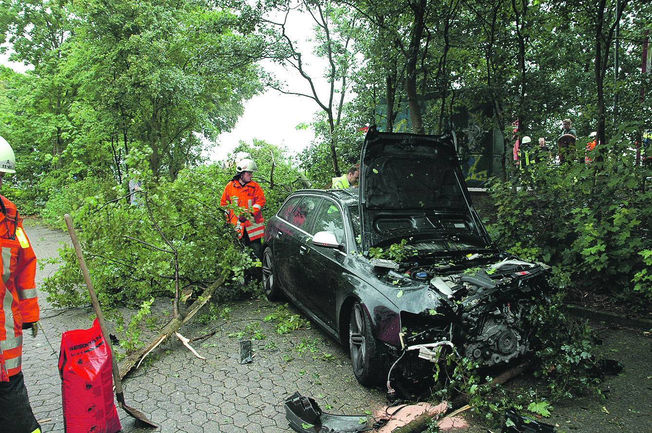 Der Audi nach dem Unfall: Durch die hohe Geschwindigkeit und die Wucht des Aufpralls hatte der Wagen abgehoben und mehrere Bäume "rasiert"