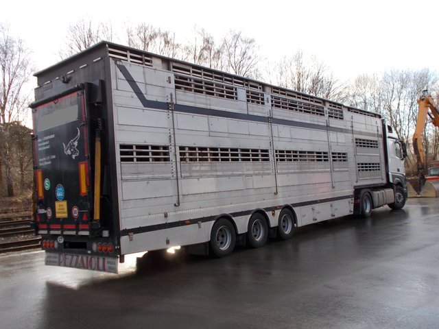 Der Rindertransport | Foto: Polizei