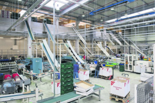 Eine Sortierhalle der "Elbe-Obst"