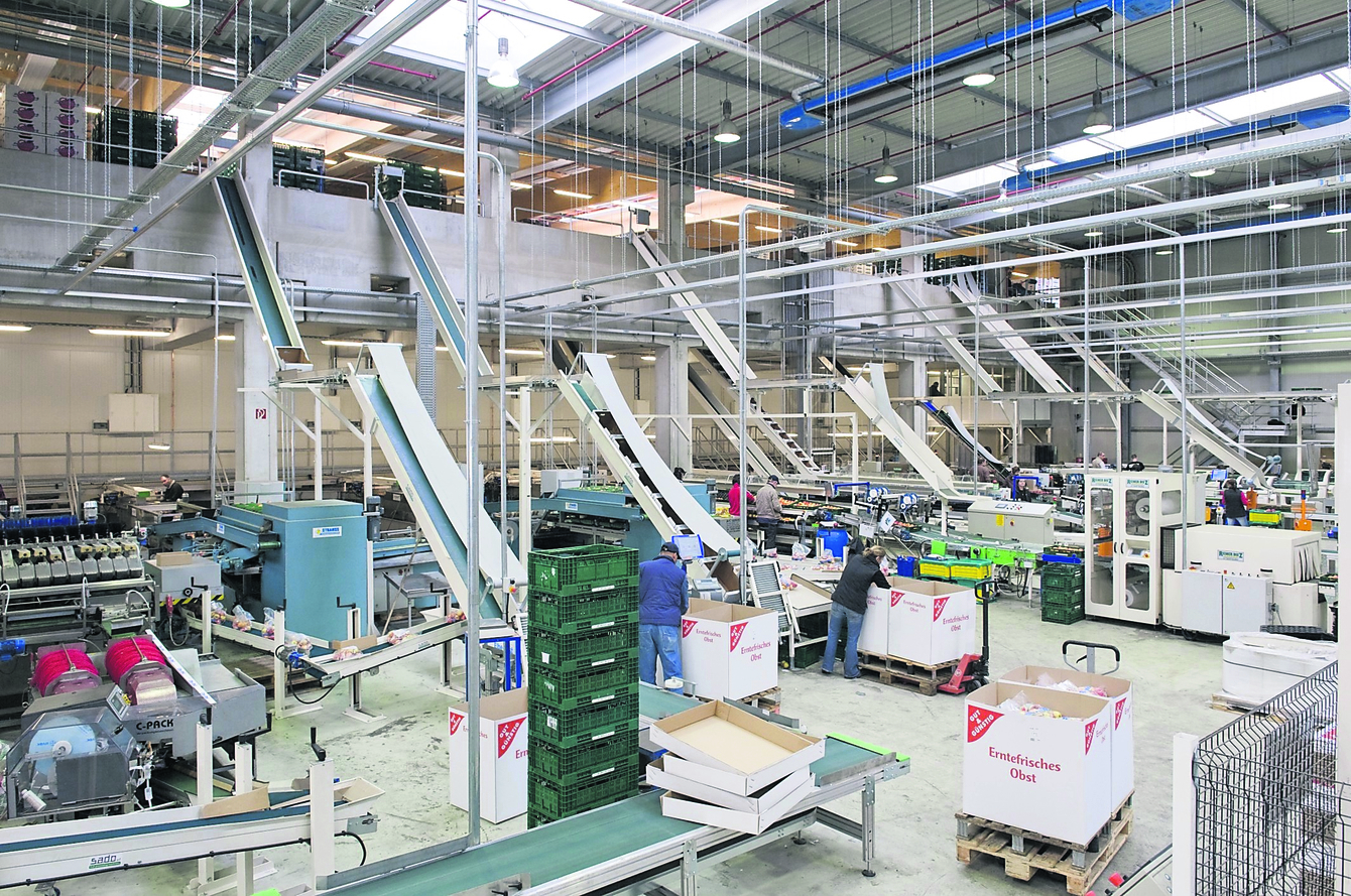 Eine Sortierhalle der "Elbe-Obst"