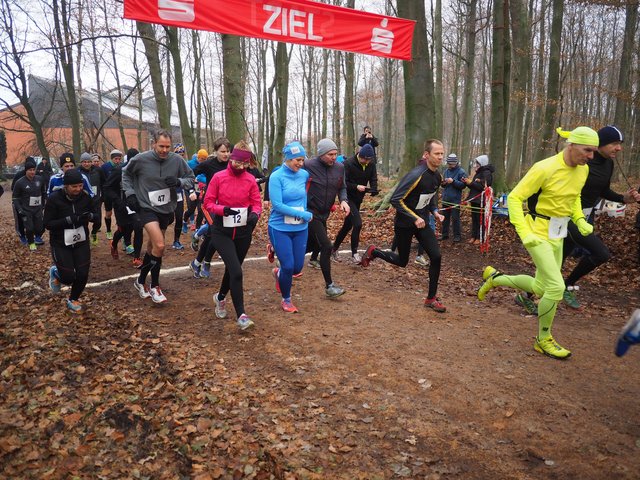 Beliebtes Laufevent: Einmal im Jahr veranstaltet der Post SV einen Crosslauf durch den Neukloster Forst | Foto: Post SV