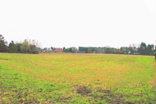 Noch ist hier eine Wiese. Doch bald sollen auf Areal rund 20 Häuser entstehen