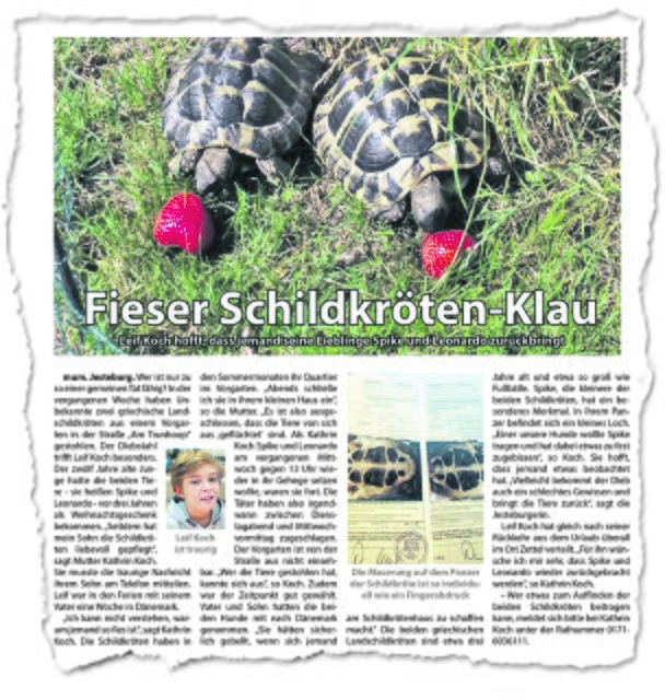 Mitte Oktober berichtete das WOCHENBLATT über den Verlust der Schildkröten
