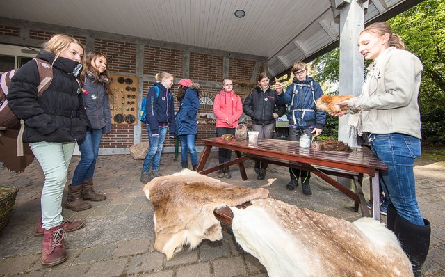 Zukunftstag im Wildpark: Welches Fell gehört zu welchem Tier? Zoopädagogik-Leiterin Monika Tischbierek hat einige Beispiele zusammengetragen | Foto: Wildpark/Thomas Ix