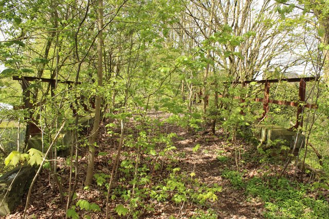 Heute liegt der alte Bahndamm ohne Schienen da, sie wurden 2008 entfernt