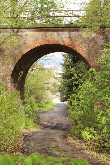 Bäume und Sträucher überwuchern das Viadukt in Hollenstedt