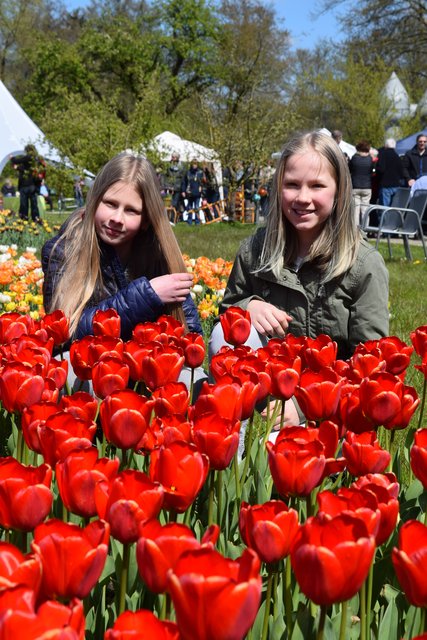 Impressionen: 11. Winsener Tulpenfest