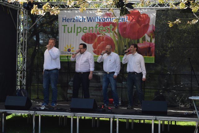 Impressionen: 11. Winsener Tulpenfest