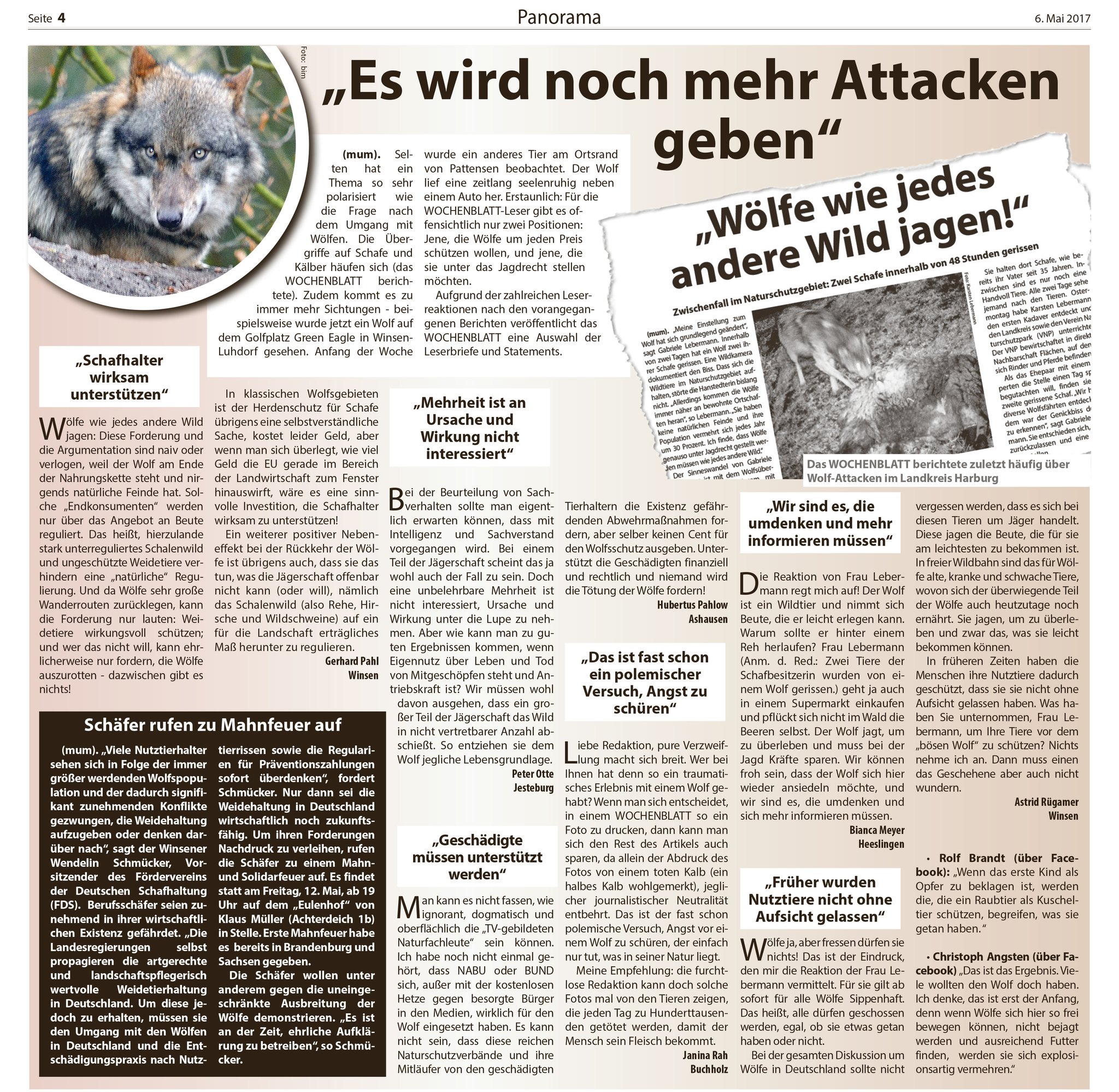 Das Wolf-Problem im Landkreis - Jesteburg