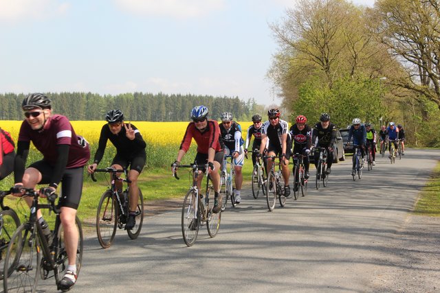 Schöne Kulisse: Das Rapsfeld in Issendorf