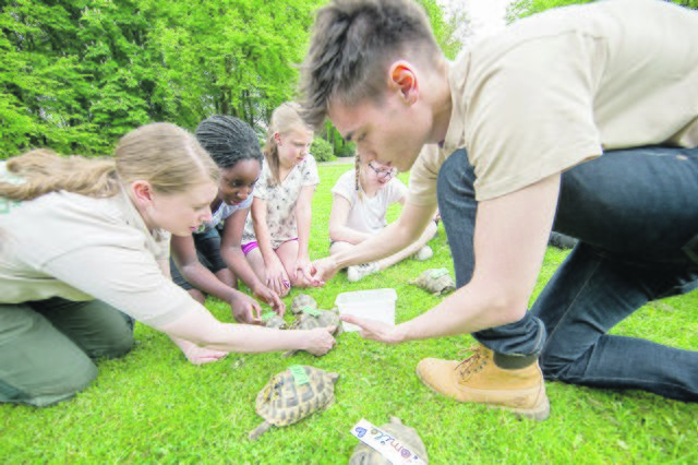 Die Schildkröten werden getauft | Foto: Wildpark/Thomas Ix