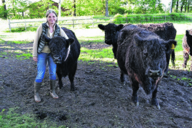 Judith Reinhard mit einigen ihrer Galloways und Kuh Wera im Arm
