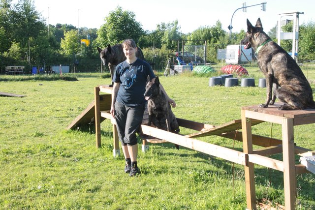 Initiatorin Sabrina Menge mit ihren drei Holländischen Schäferhunden auf dem Hundespielplatz