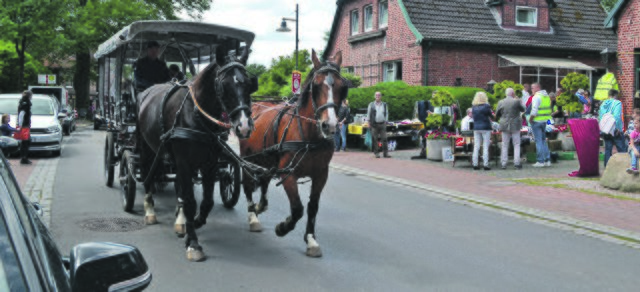 Zwischen dem Hotel Niedersachsen und dem Restaurant Hacienda beförderte eine Kutsche die Gäste