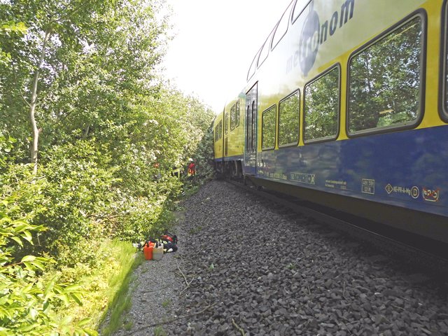 Der herannahende Zug überraschte die Feuerwehrleute bei den Arbeiten auf den Gleisen und am Bahndamm in Burweg | Foto: Feuerwehr Burweg