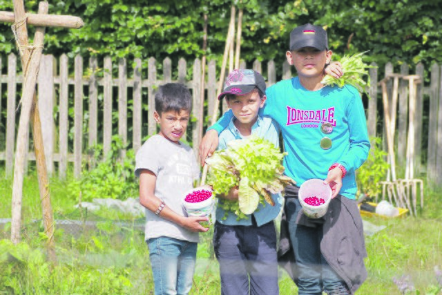 Auf dem Schulbauernhof des Vereins Naturschutzpark Lüneburger Heide in Wilsede lernen Kinder aus Stadt und Land das Hofleben kennen