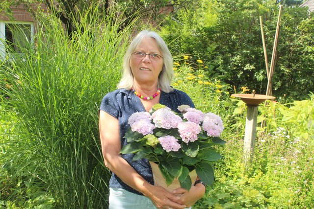 Hanna Tipkes großes Hobby ist der Garten: Von ihren Schülern erhielt sie diese Hortensie als Geschenk