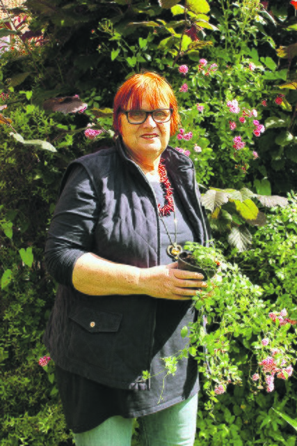 Von der Kraft der Heilkräuter begeistert: Heilpraktikerin Gundula Dultz | Foto: wd