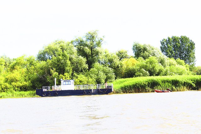 Die Elbinsel Lühesand ist nur mit dem Boot zu erreichen