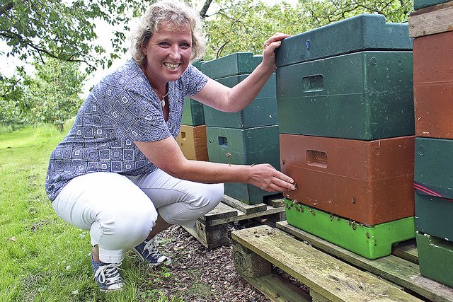 Keine Chance für männliche Bienen: Drohnen müssen ab sofort draußen bleiben