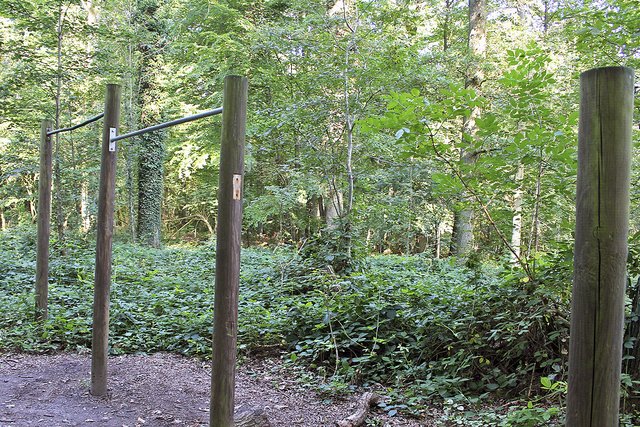 Auch marode: Von den drei einstigen Reckstangen sind nur noch zwei übrig