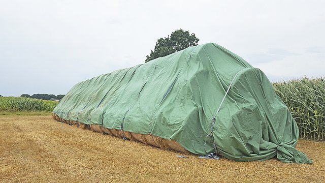 Die Strohballen vor dem Feuer: Das Ergebnis ihres Tagwerks hatten die Studenten im Bild festgehalten