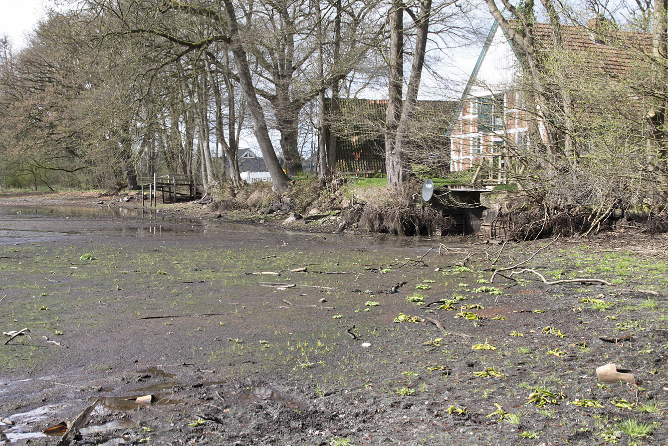 Der Mühlenteich war im Frühjahr noch kaum bewachsen Fotos: tp