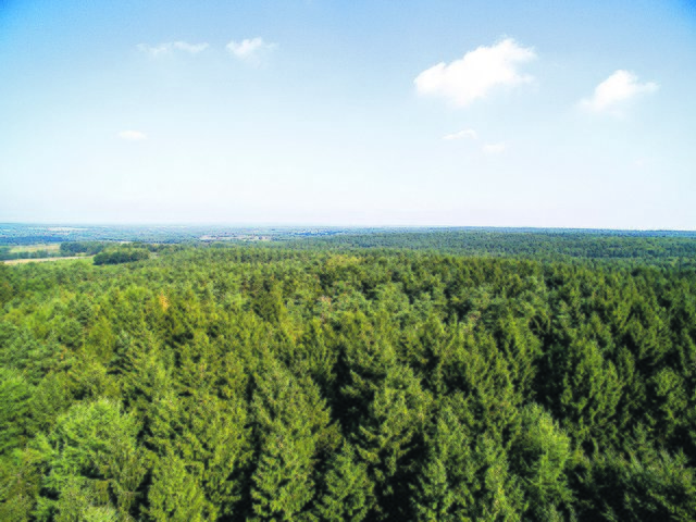 Blick über die Baumwipfel in Richtung Hamburg - noch dank einer Drohne. 2019 soll dies vom Aussichtsturm aus möglich sein | Foto: Wildpark Lüneburger Heide