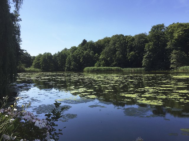Kaum zu toppen: der idyllische Ausblick auf den See | Foto: cku
