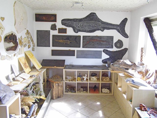 Eine Wohnung voller Fossilien | Foto: Benn privat