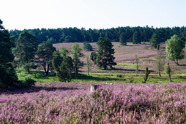 Foto: Dieter Rabenstein