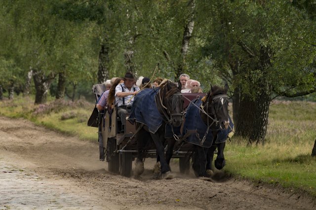 Foto: Dieter Rabenstein