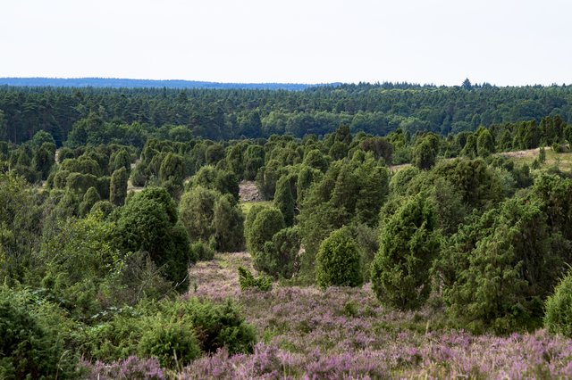 Foto: Dieter Rabenstein