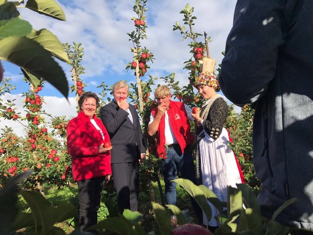 Anbiss: der CDU-Landesvorsitzende Dr. Bernd Althusmann (li.) pflückte gemeinsam mit den Obstbauern Martina und Wilhelm Matthies und der Altländer Blütenkönigin Lina Porter den symbolischen ersten Apfel der Saison | Foto: Alena Matthies