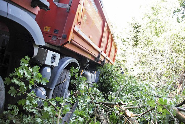Der Lkw riss mehrere Bäume um