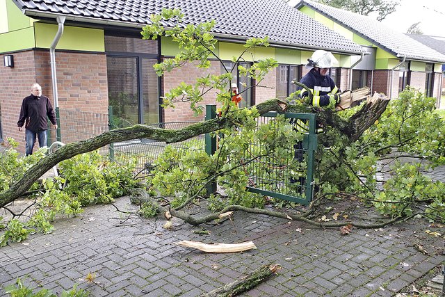 Feuerwehr im Säge-Einsatz am Hort in Himmelpforten | Foto: Rolf Hillyer-Funke