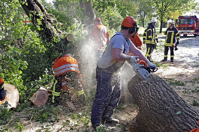 Feuerwehrleute zersägen einen Umgestürzten Baum in Himmelpforten | Foto: Rolf Hillyer-Funke