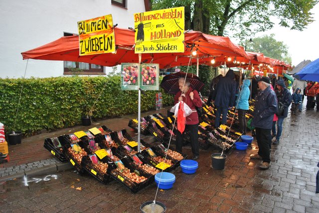 Grundstück für die nächste Blütenpracht: Auch Blumenzwiebeln waren begehrt