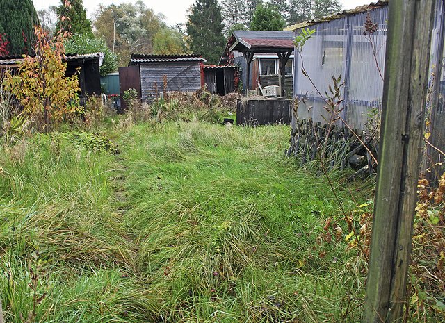 Das Glück vom (fast) eigenen Garten Buxtehude