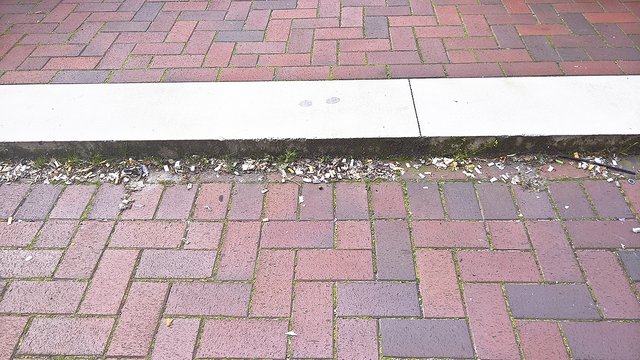 Oft ein Ärgernis: Müll an den Treppen auf dem Peets Hoff | Foto: privat