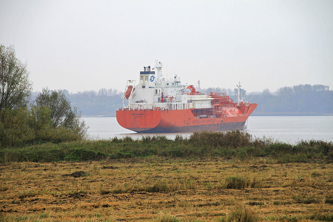 Schlug Leck auf der Elbe: der Gas-Tanker "Bow Guardian" Fotos: tp/Hemke privat/WGB