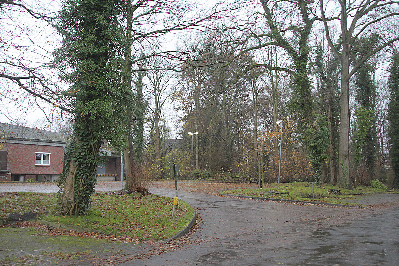 Einige zusätzliche Bäume an der Mühlenstraße sollen erhalten bleiben
